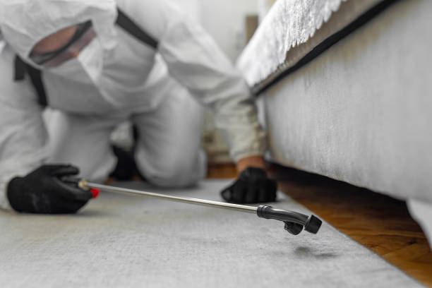 Professional Bed Bug Control technician working in Williston, FL